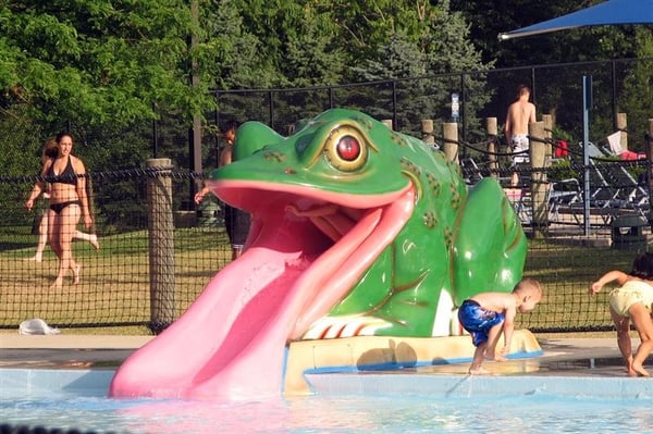 frog slide