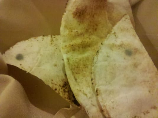 mold pita that was served to us yelp mold pita that was served to us yelp