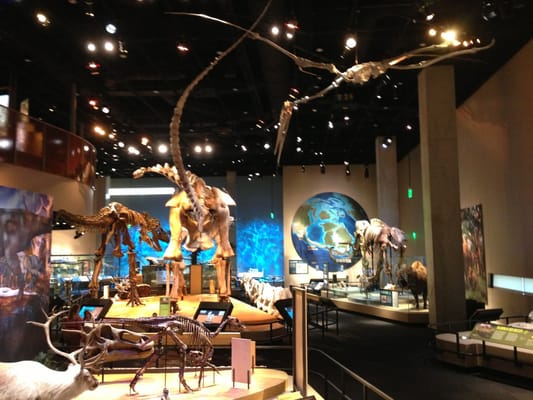 Museum Of Nature And Science Imax Dallas Museum Of Nature And Science Imax Dallas