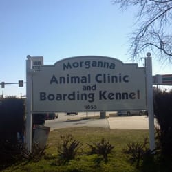 Morganna Animal Clinic Morganna Animal Clinic