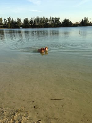 Find Dog Park Near Me, Nearby Dog Parks, Parks Near Me