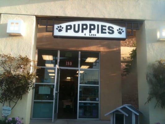 temecula puppies 4 less temecula ca puppies 4 less djuraff 228 rer temecula ca usa yelp temecula puppies 4 less temecula ca puppies 4 less djuraff 228 rer temecula ca usa yelp