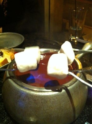 Cat Fondue