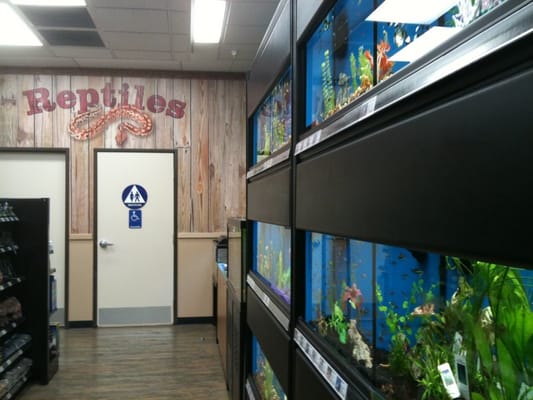puppy store temecula l jpg puppy store temecula l jpg