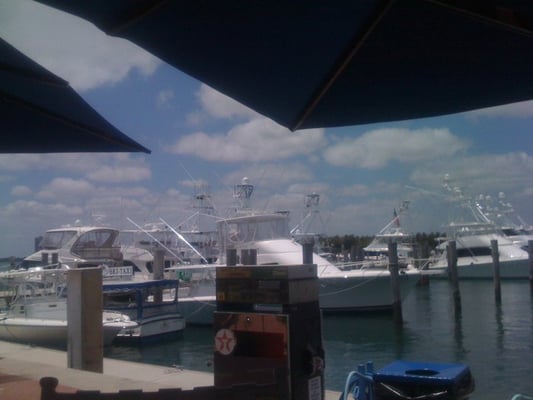 Sailfish Marina Palm Beach Menu Sailfish Marina Palm Beach Menu