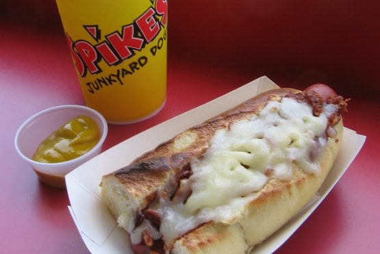 spike s junkyard dogs spike s junkyard dogs dogs cranston ri yelp spike s junkyard dogs spike s junkyard dogs dogs cranston ri yelp