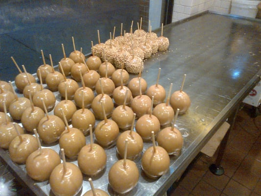 Savannah S Candy Kitchen Near Me Savannah S Candy Kitchen Near Me